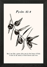 Olive Branch Psalm 52:8 Framed Wall Art Poster Canvas Print Picture