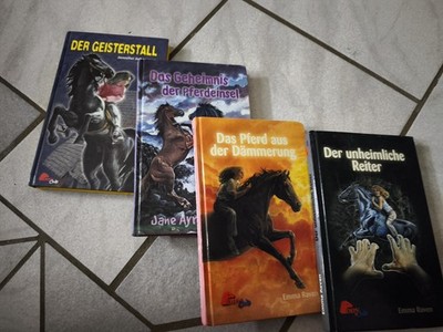 Jane Ayres & Emma Raven Pferdegeschichten 4 Bücher   Der Geisterstall u.a., DE