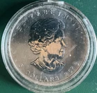 2013 Canadian 5 Dollar 1 Oz. .9999 Silver Coin