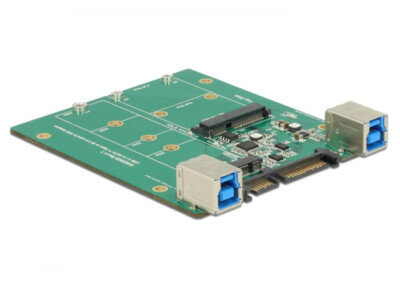 Delock Konverter SATA / USB 3.1 Typ-B Buchse an M.2 / mSATA Slot