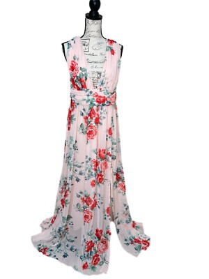 Lulus Garden Meandering Blush Floral Print Maxi Dress Romantic Fairy XL New Tags