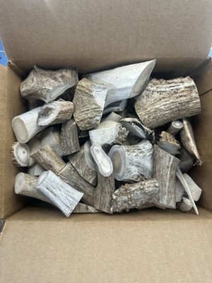 NOT DOG CHEWS! 4 Lbs Elk & Deer Antler Scraps/Pieces-Animal Feed-Grinding!