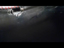 Rear View Mirror Sedan Without Compass Fits 00-01 03-18 ALTIMA 667067