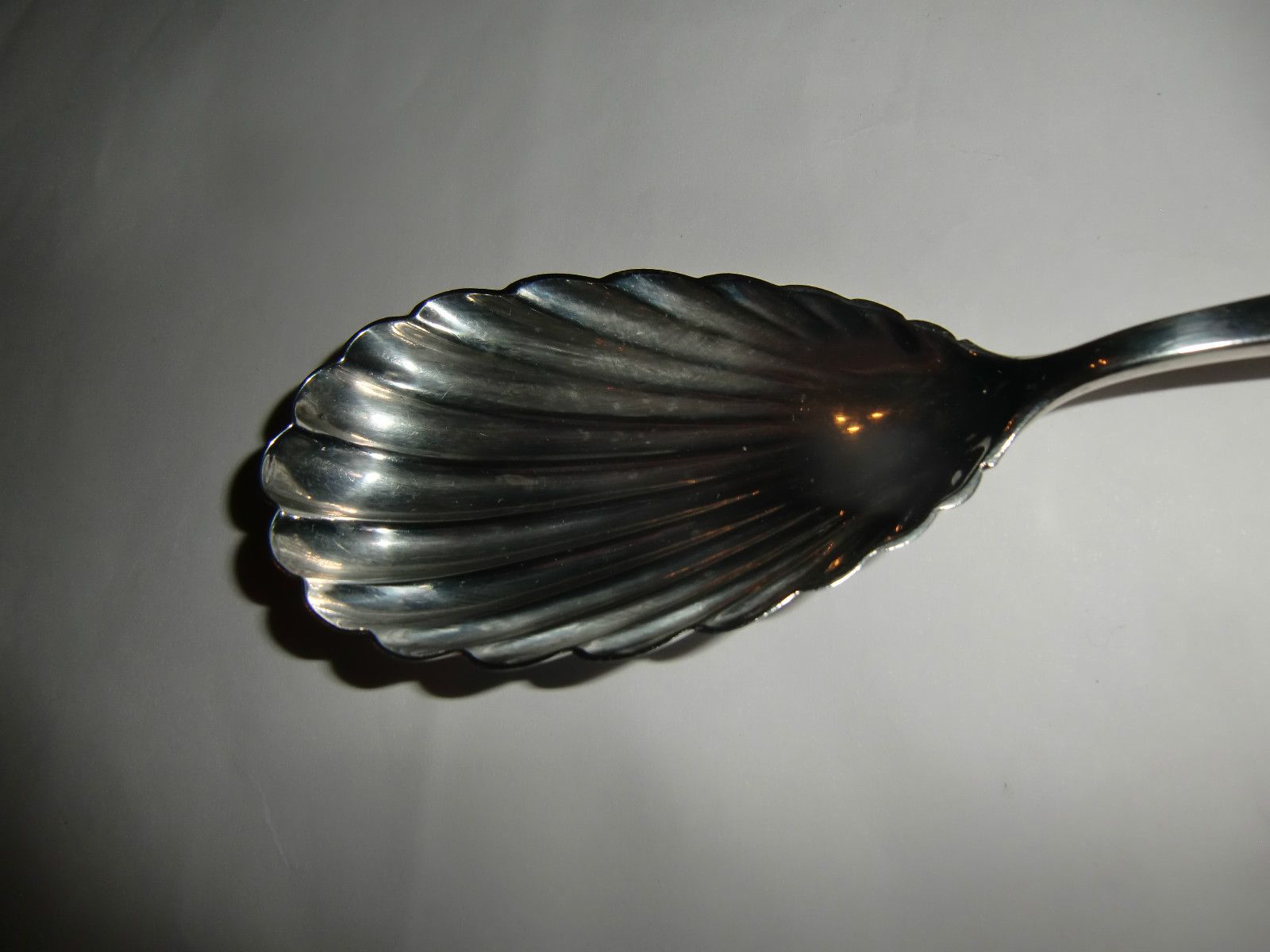 Foto 10 di 10