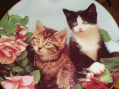 Danbury Mint Sammler Teller ROSE BUDDIES Kätzchen Katze