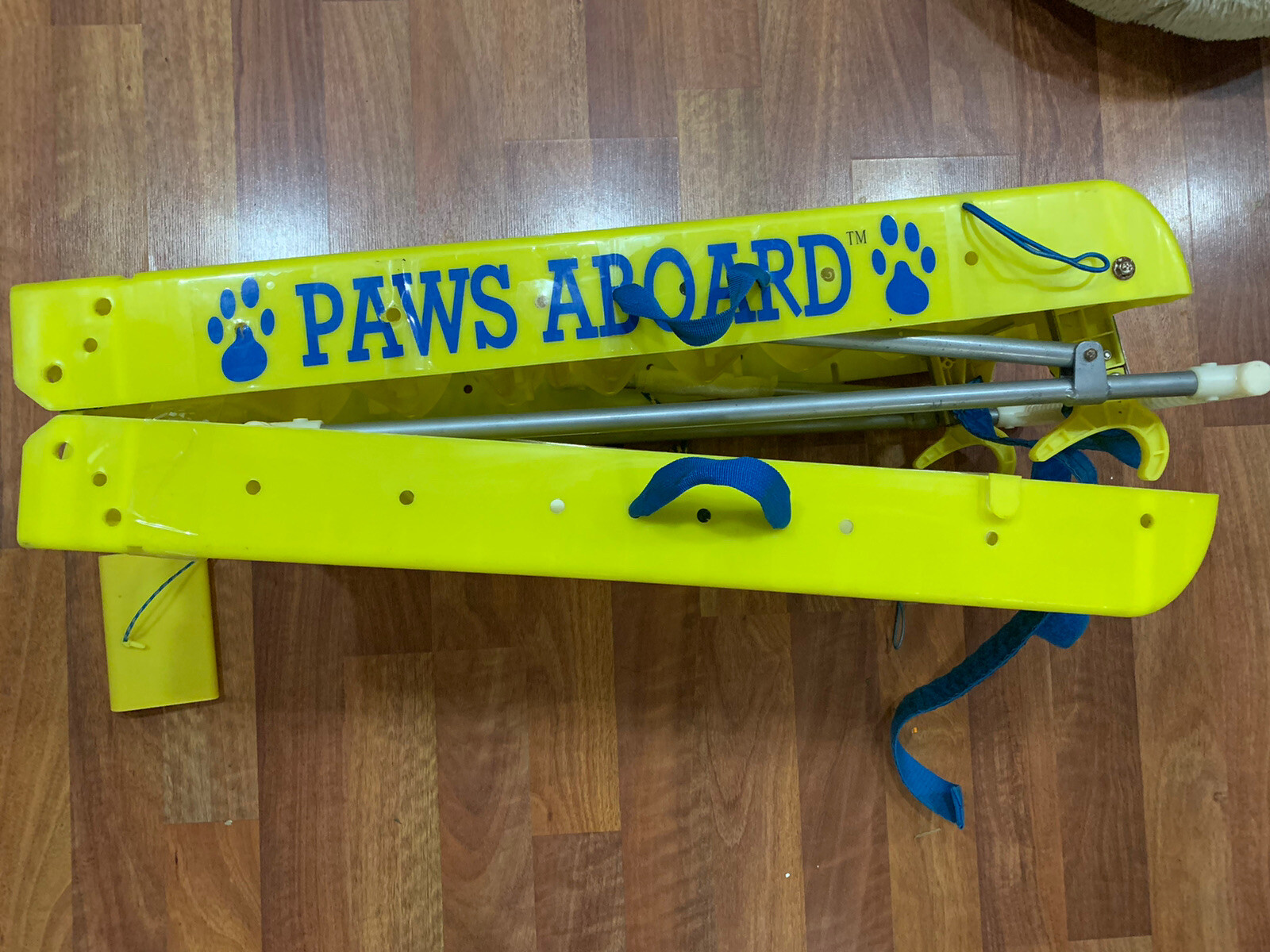 paws aboard boat ladder