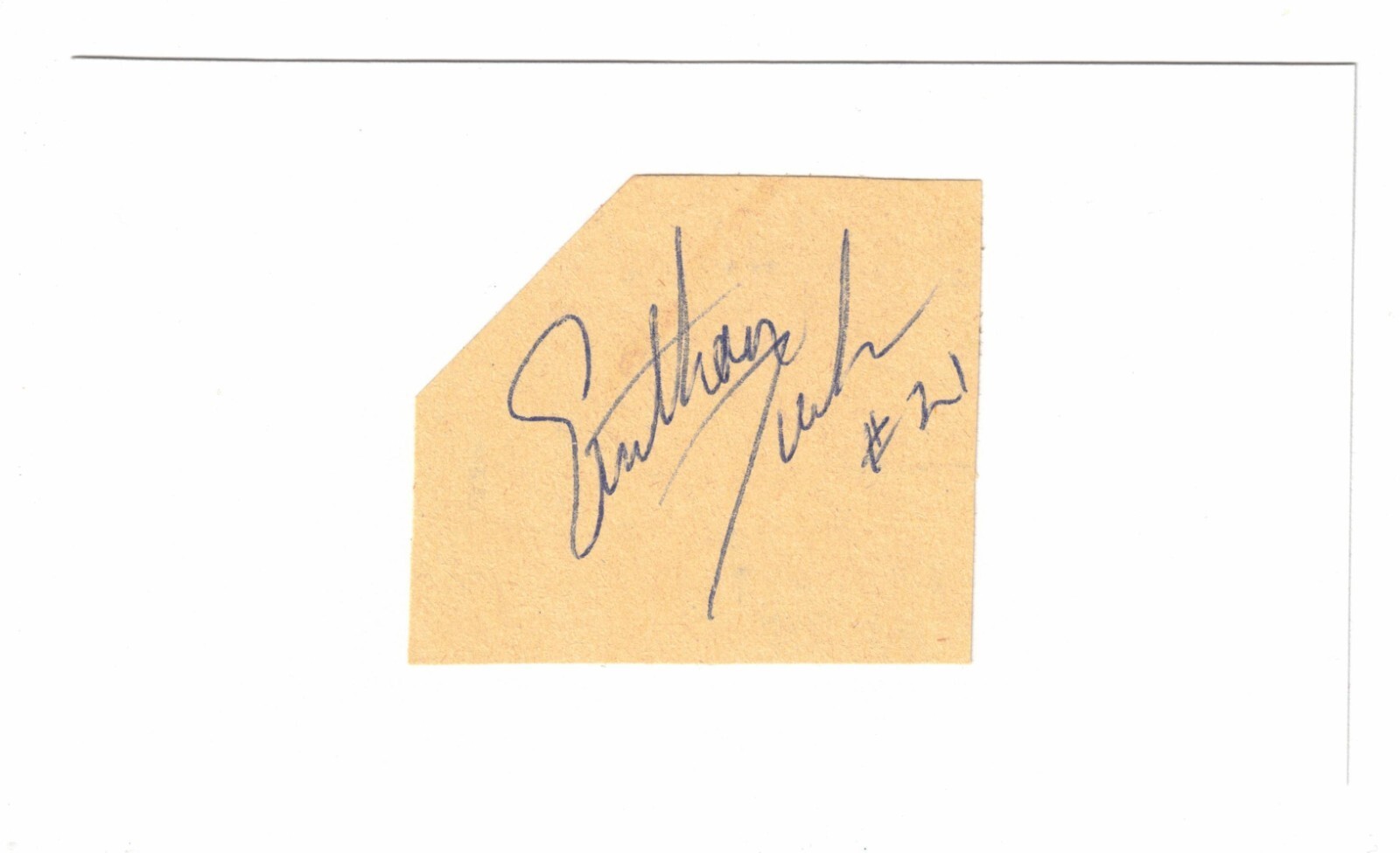 Anthony Tucker Cut Autograph! Signed! Washington Bullets Wake Forrest University
