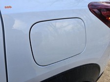 TRAILBLAZ 2021 Fuel Filler Door 2428926