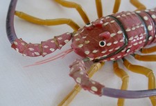 LANGOUSTE ARTICULÉE, belle langouste articulée, ressort, jouet, objet curiosité