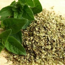 Orégano Auténtico Griego Orégano Condimento Pizza Pasta Hierba Aromática