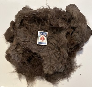 1lbs 8.3oz Raw Veggie Unwashed Fiber Llama? Alpaca? Natural Spinning Fiber (B28)