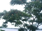 Bild 5 von 9
