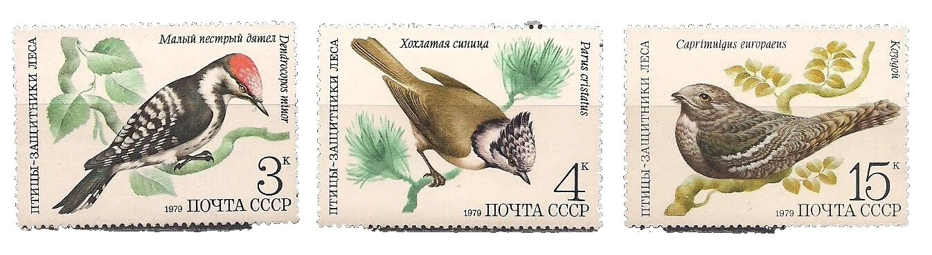 Pássaros em estado perfeito/sem marca de charneira Selos Russos e União Soviética