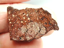 METEORITE WRONG - XRF Analysis - Top Quality - XRF-0143 - 3.66g - COA/Part Slice
