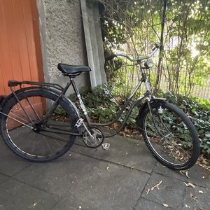 vintage damenrad MILORD. 28 Zoll 1-Gang rosa Komfort Fahrrad mit Korb und Rückenträger, Hollandrad, Damenfahrrad, Citybike, Cityrad, Retro, Sport & Freizeit Wasserstoffperoxid 3% , 250ml Kids 90–115 cm Mietdauer in Monaten:12