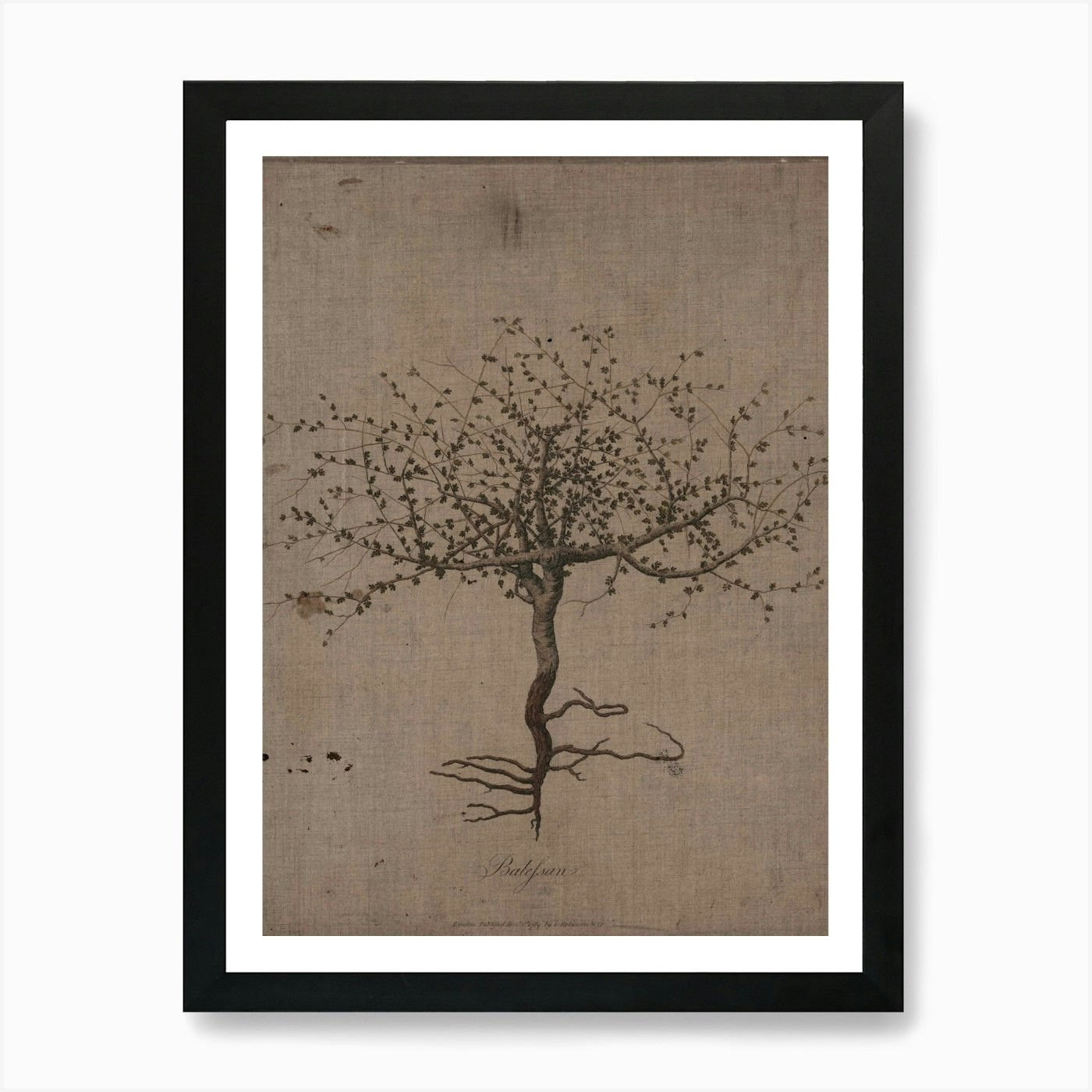 Tree of Life Framed Canvas Art Print Wall Decor Picture