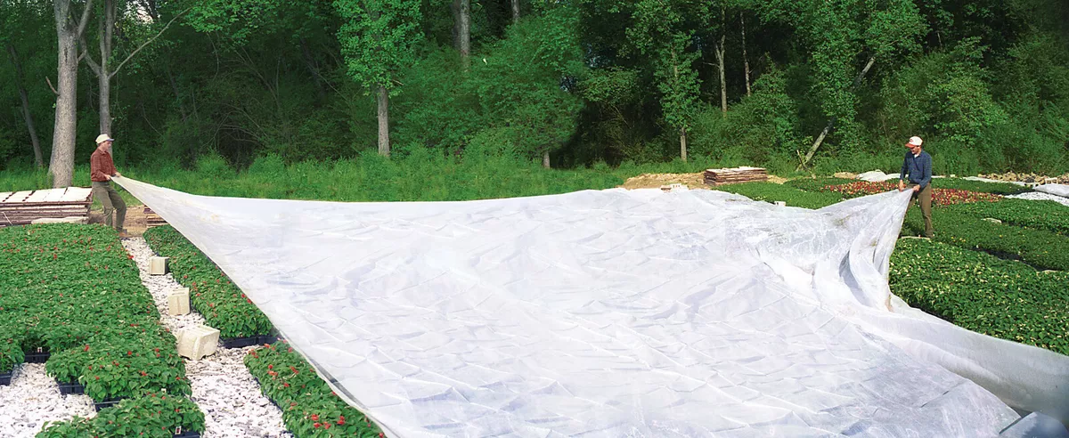 Frost blanket hot sale