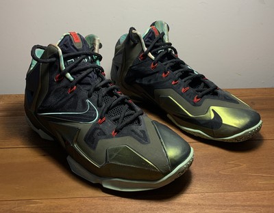 lebron 11 king's pride for sale