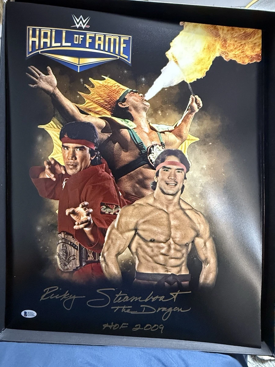 Ricky Steamboat WWE Wrestling Original Autographed Items for sale