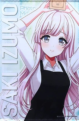 D4DJ Sakihime Izumo B2 Tapestry Photon Maiden TSUTAYA 4th USED