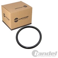 Dr.Motor Dichtung AnsaugbrÜCke Passend FüR CitroËN Jumper Fiat Ducato Ford