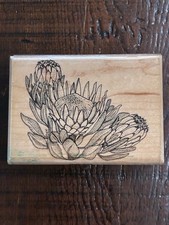 HAWAIIAN PROTEA Mounted Rubber Stamp from MOSTLY ANIMALS 433-S8