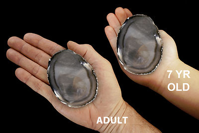 AGATE GEODE Polished Slice 2 1/2'' Rocks Minerals Specimen Chakra Healing Slab