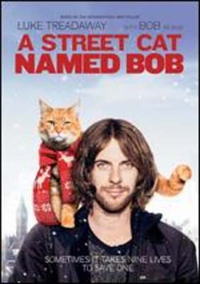 A Street Cat Named Bob by Roger Spottiswoode: New
