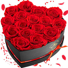 16-Piece Preserved Rose Birthday Gifts for Women, Eternal Rose Preserved Flowers