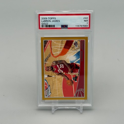 2009 LeBron James [Gold] #42