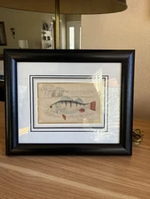 Hand colored etching W.H Lizar From Around 1830 “Granulated Perch” Framed