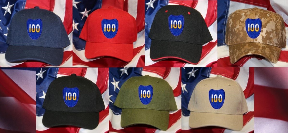 100TH TRAINING DIVISION HAT PATCH CAP CENTURY DIVISION PIN  display picture 3