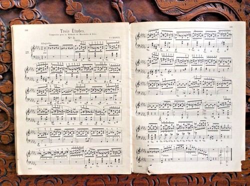 vintage 1894 schirmer's CHOPIN,Complete works for pianoforte, Vol 33 Carl Mikuli - 第 10/10 張圖片