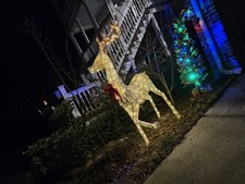 Holiday Living Christmas Outdoor Decoration 8-ft Standing Deer Holiday Living Christmas Outdoor Decoration 8-ft Standing Deer - Image 1