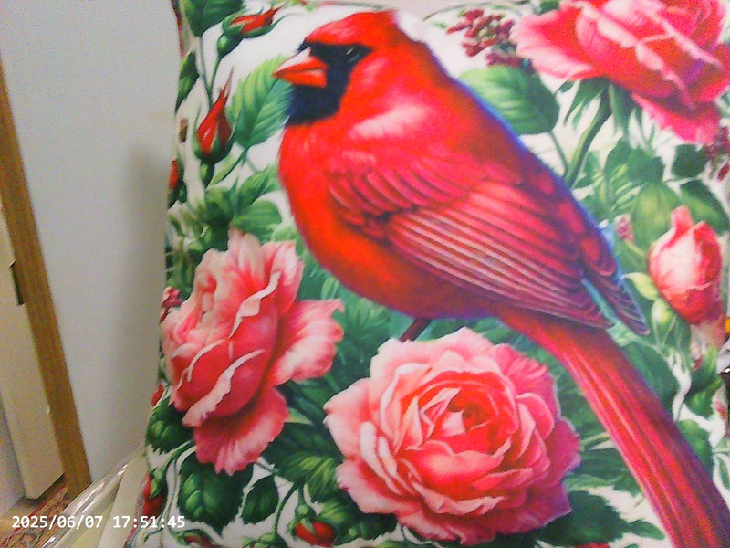 New Vintage Style Throw Pillow Cardinal & Pink Roses Microfiber 2-Sided 18 x 18