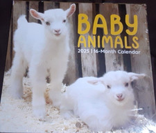 2025 Baby Animals Mini Wall Calendar 5.5 X 6" closed -6 x 11 " open