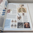 Bild 8 von 12