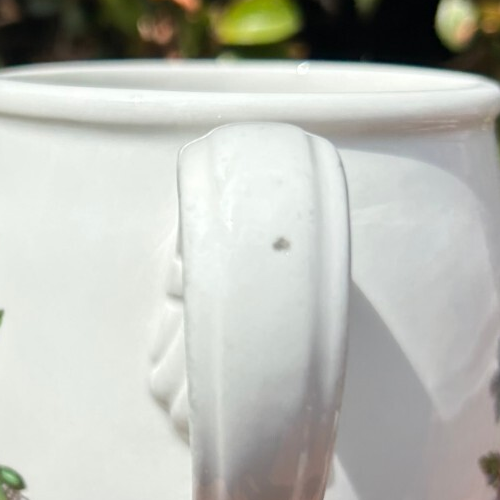 SET-3 X 3 7/8" PORTMEIRION BOTANISCHER GARTEN GARTEN TASSEN Tassen 2 VERGISSMEINNICHT +1 - Bild 13 von 24