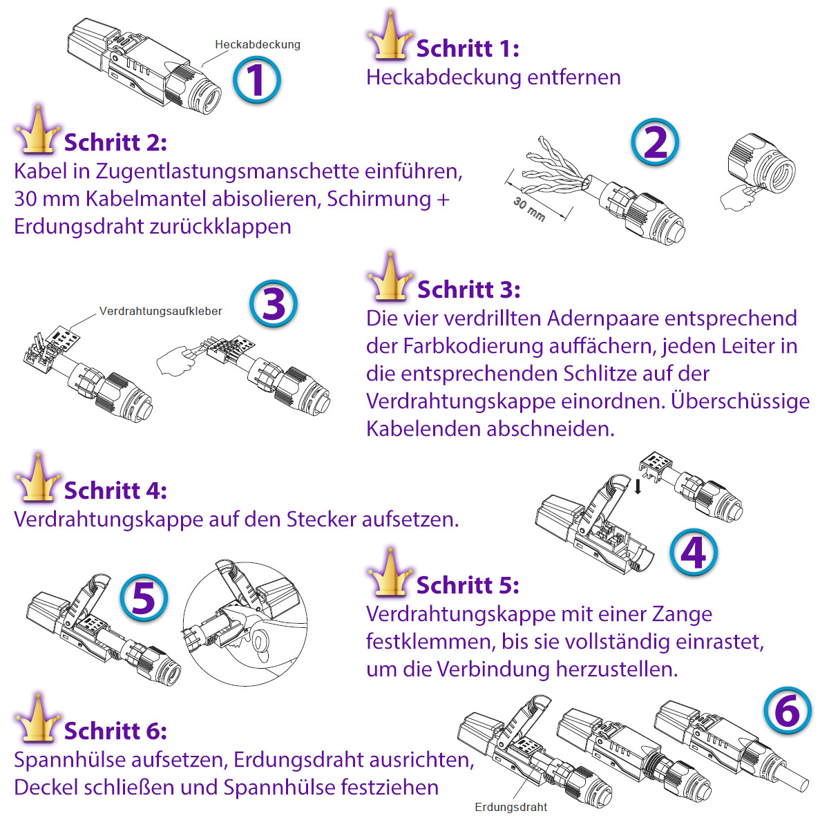 Bild 4 von 12
