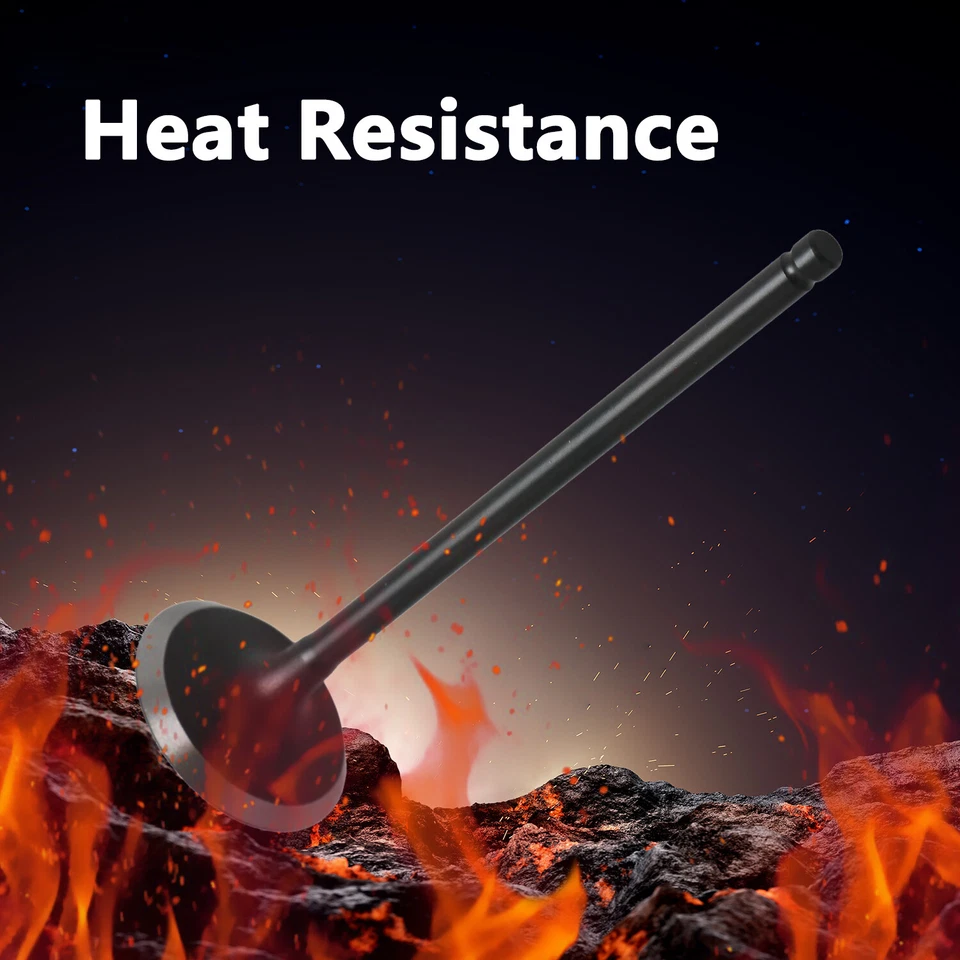 12 piezas de admisión + 12 piezas válvulas de escape aptas para Acura CL MDX TL 2001-2008 3,2 L 3,5 L V6 Foto 2 de 4