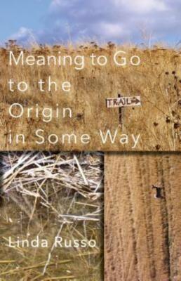 Meaning To Go To The Origin In Some Way