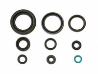 Honda TRX 450 R / ER - 06/14- Kit Dichtungen Spys Motor 666A412SR