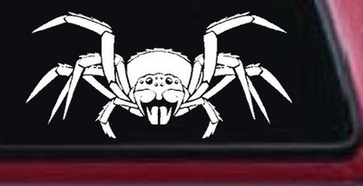 Spider Arachnid Web Creepy Animals Car or Truck Window Vinyl Decal Sticker