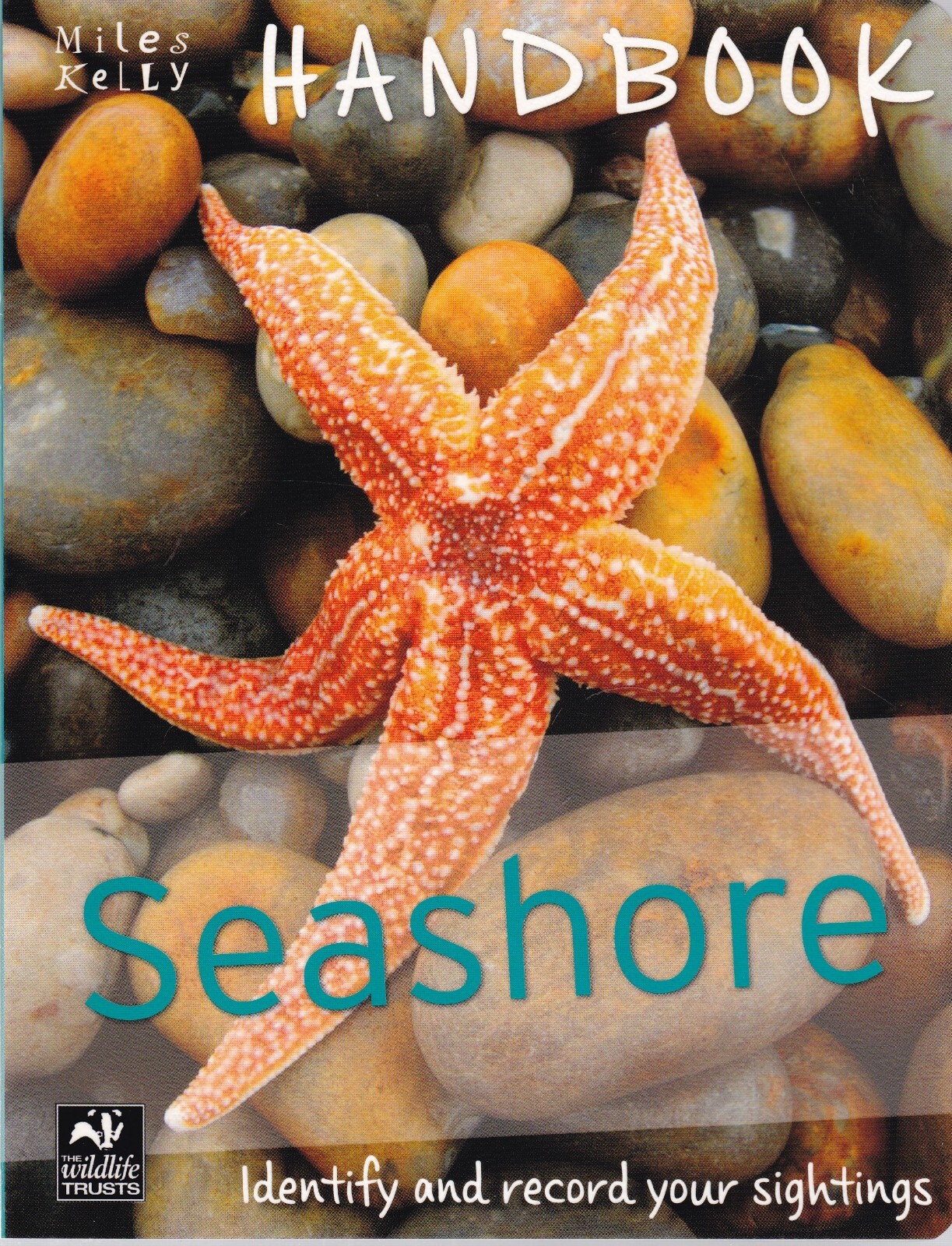 Seashore Handbook for Children 8+ Plants & Wildlife Facts Activity Learning New