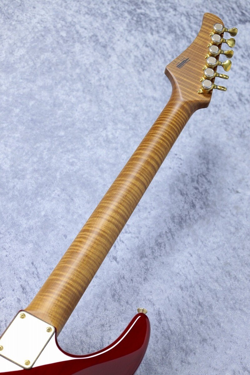 【Geforce】T’s guitars - DST Pro24 T's Guitars DST-Pro24 Burl Maple Top / Ash Back / German