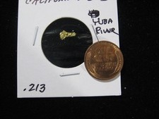 CALIFORNIA GOLD NUGGETS YUBA RIVER  .213 GRAM 5839.57 per troy oz