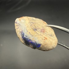 $1 AUCTION 7 DAYS 25.6 ct Lightning Ridge Gamble Opal Nobby- Western Opal