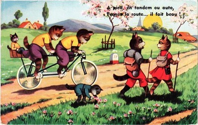 PC KATZEN IN MENSCHLICHER KLEIDUNG TANDEM FAHRRAD AUSFLUG POSTKARTE (B69138)