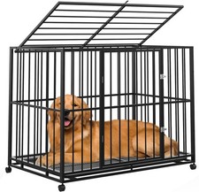 48 Inch Dog Crate, Stainless Steel Dog Kennel for Indoor Use, Escape Proof Do...