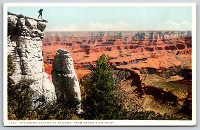 Grand View Point View Grand Canyon Arizona AZ UNP Fred Harvey WB Postcard H15